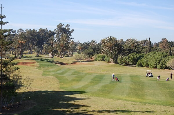 Härliga fairways. Flera av veckans gäster har spelat golf på Kanarieöarna i januari men skulle hellre rekommendera Agadir.